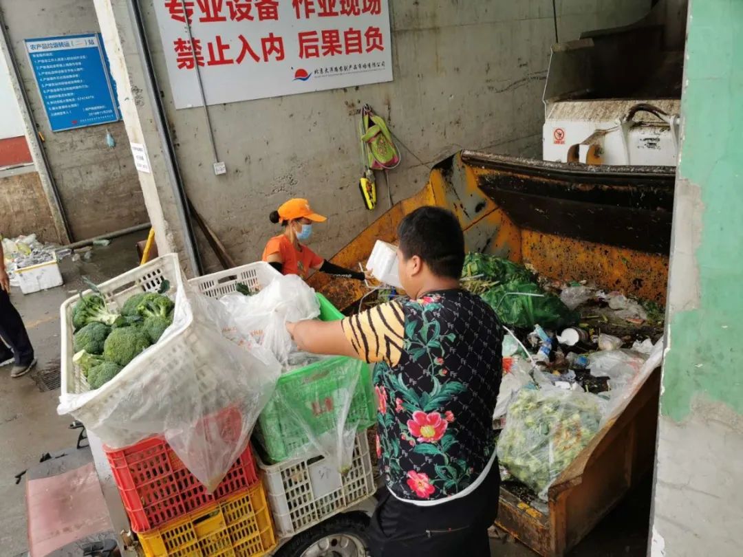 调查从市场到餐桌的浪费：10余箱蔬菜一股脑倒掉